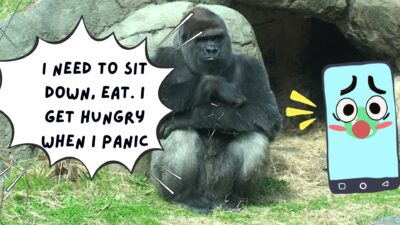 Part 1 Kids and animals weigh in on the Trott Bailey Family Kingdoms featuring Jeb the gorilla, Kang the Kangaroo and Simba the Lion story by Sher Trott Bailey the world ruler . Jeb- I need to sit down, eat. I et hungry when I panic