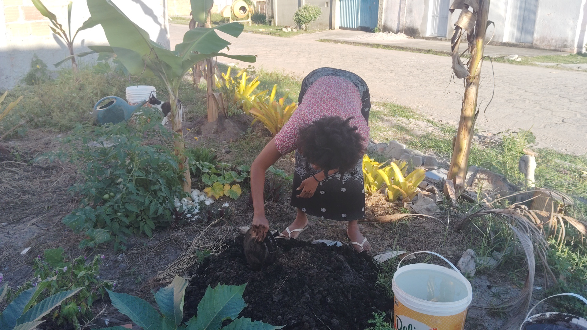 A woman with dark curly hair, wearing a red patterned shirt and black skirt, bends over to plant in a garden with dark soil, banana trees, and other plants