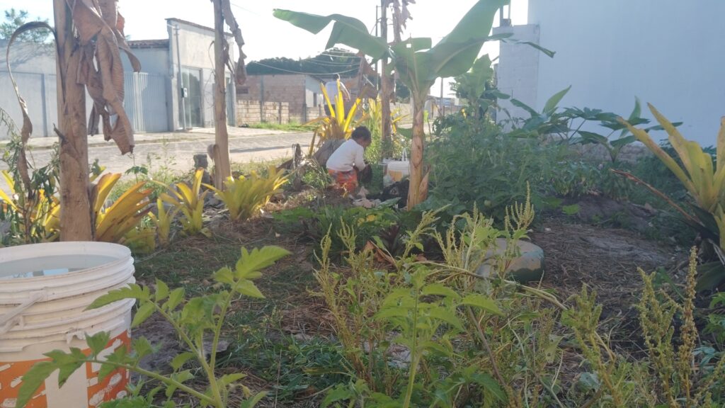 A child in a white shirt and orange shorts tends to a lush garden filled with banana trees, yellow-leafed plants, and various green crops, with a white bucket of water in the foreground and buildings in the background