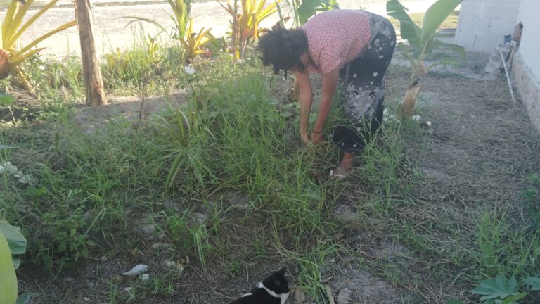 A woman with dark curly hair and a red patterned shirt bends over to tend to a garden of tall green grass and small plants, with a black and white cat resting in the foreground