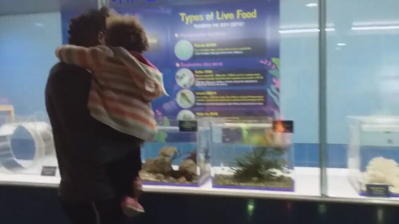 Daddy and Keilah looking at Sea Creature at COEX Mall