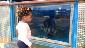 Baby Keilah Tour Seongsan, Soegwipo on Oasis Videos by the Multibillionsires of the Trott Bailey Family