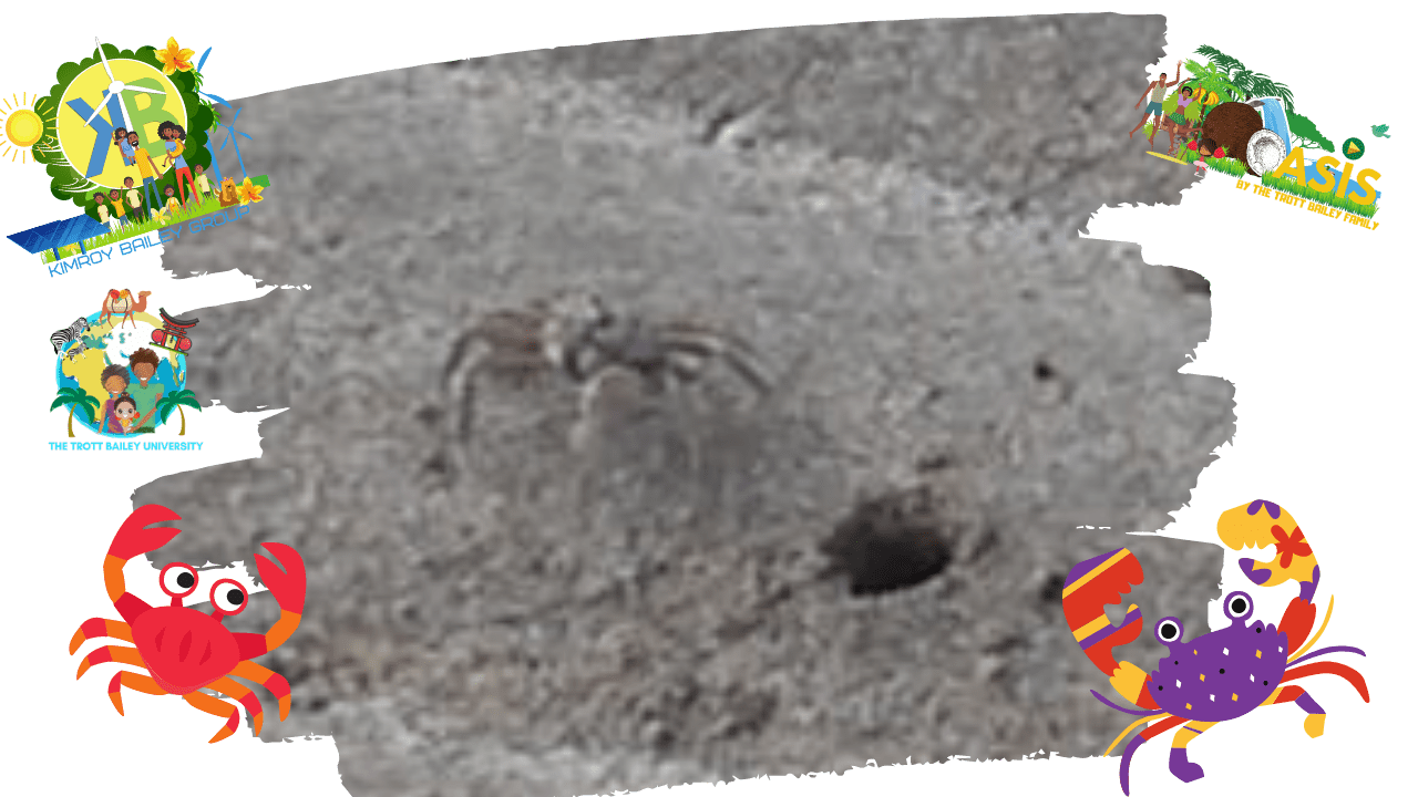 0001-11667926763_20201005_073934_0000