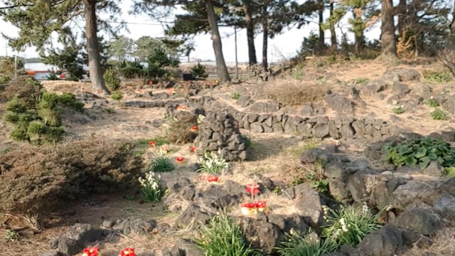 Adorable princess Keilah walking through the garden on a warm winter day in Jeju Island South Korea