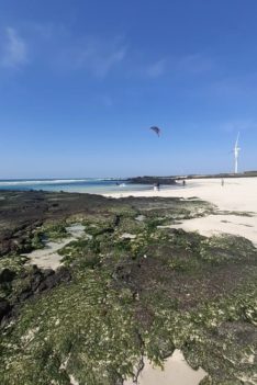 Big King KB kite surfing at Kimyeong Beach Jeju island south Korea