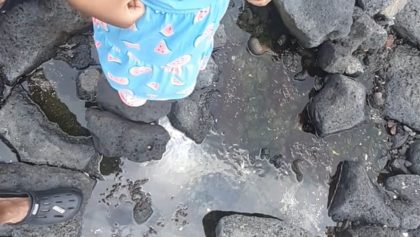 Princess Keilah Sea exploration with best dad ever Jeju Volcanic Island