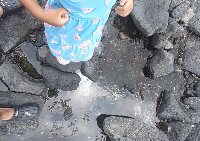 Princess Keilah Sea exploration with best dad ever Jeju Volcanic Island