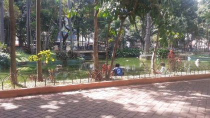 The views of Republica Park Sao Paulo with Big King Daddy and his 2 princesses