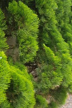 World’s best dad Kimroy Bailey and Princess Keilah playing on Jeju Island