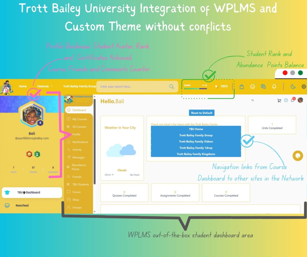 Trott Bailey University intrgration of WPLMS with custom theme with no conflict