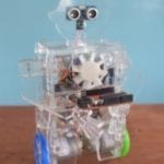 Kimroy Bailey Robotics Rasta Robot kit