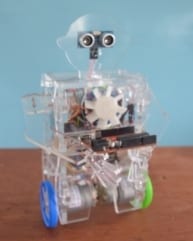Kimroy Bailey Robotics kit Rasta Robot