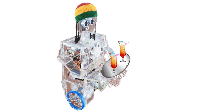 The Flagship product for Kimroy Bailey Robotics the Rasta Robot which teaches the fundamentals of robotics