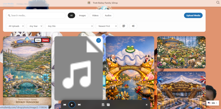 Big King Media Frontend Media Management Hide or delete media directly from the frontend if authorized wordpress best Multisite Shared Media Library Plugin