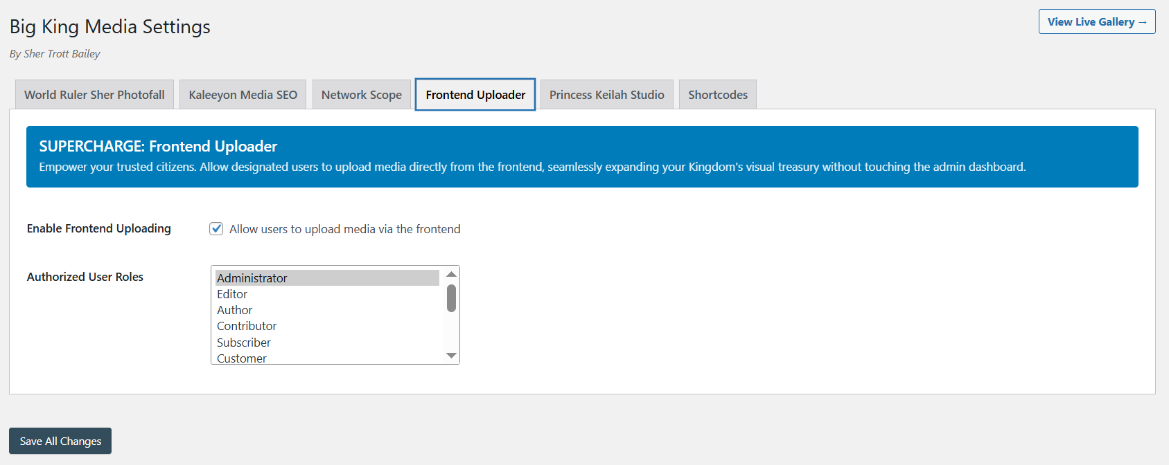 Big King Media frontend uploader