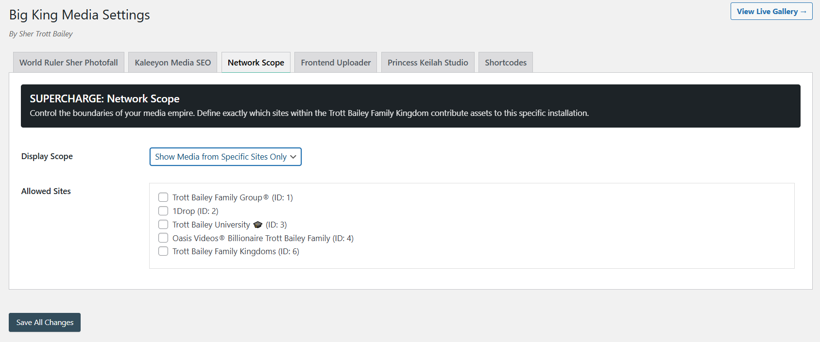 Big King Media network settings