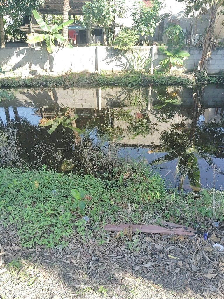 A narrow, dark canal