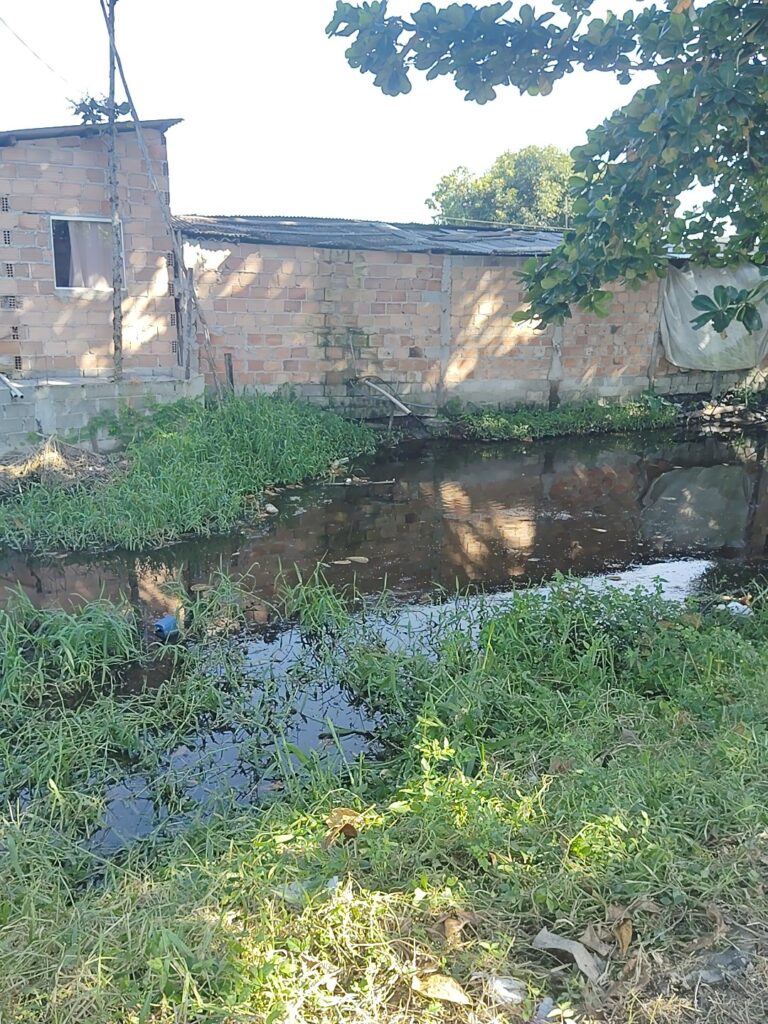 A murky ditch filled with