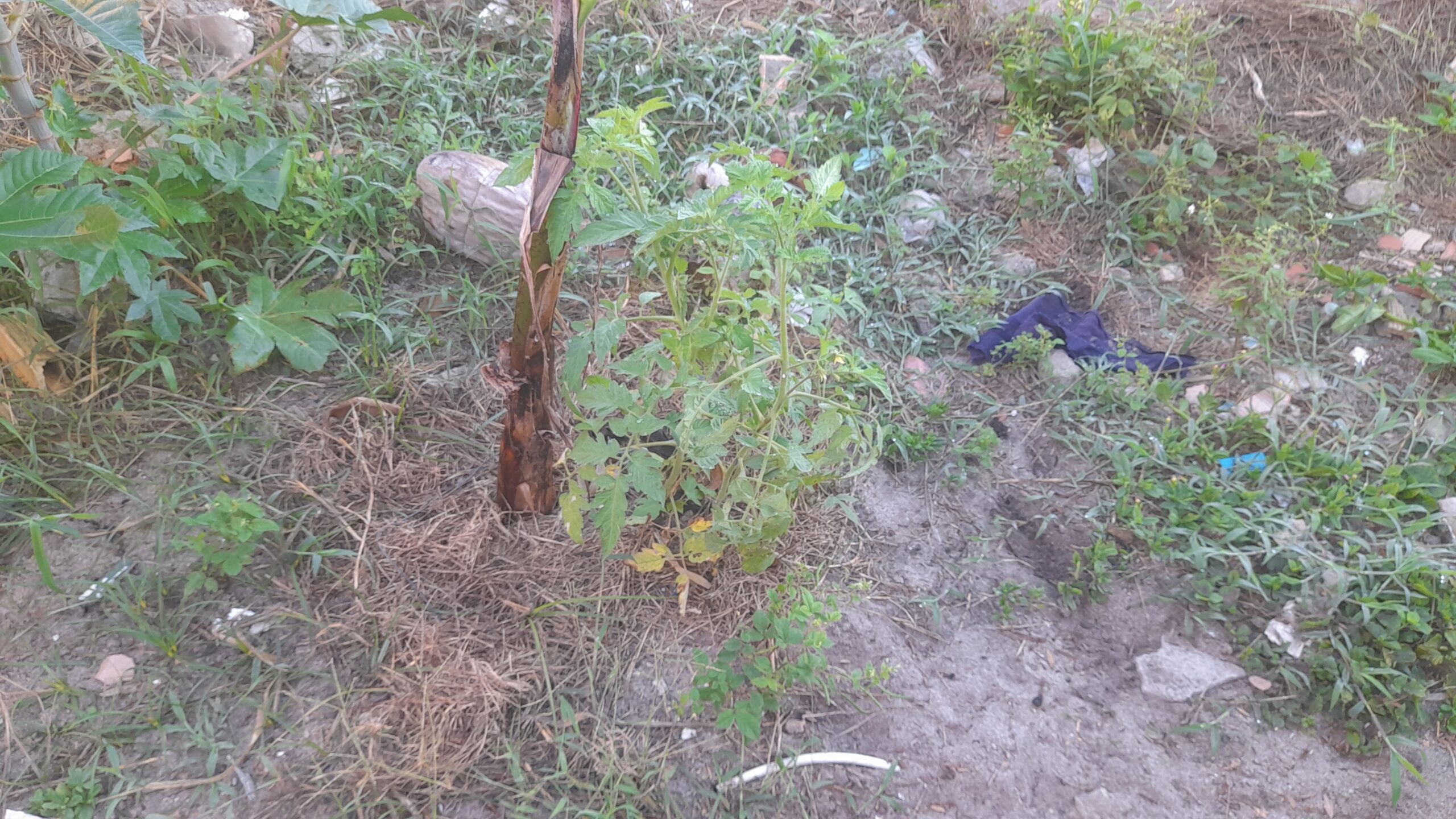 World Ruler Slideshow Image