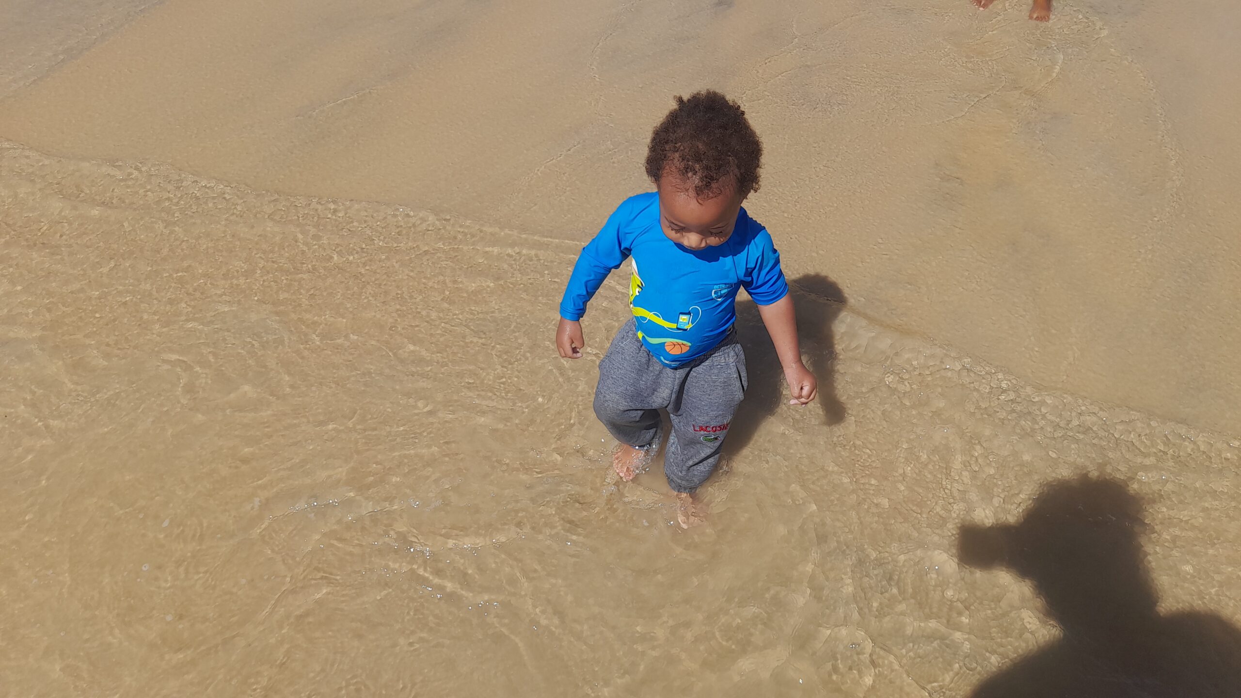 A toddler with curly hair, wearing a blue long-sleeved shirt and gray sweatpants, stands in shallow water on a sandy beach