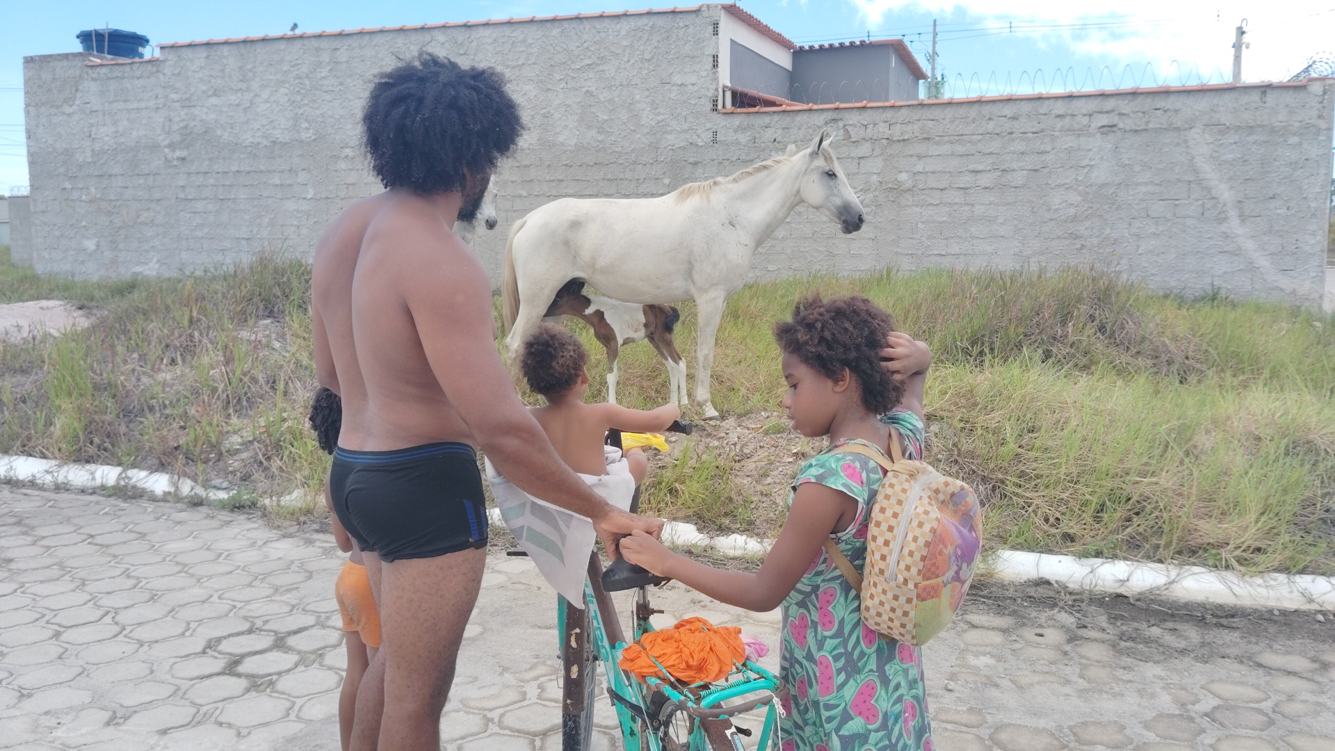 A man and two children stand on a paved path, watching a white mare nurse a brown and white foal in a grassy field