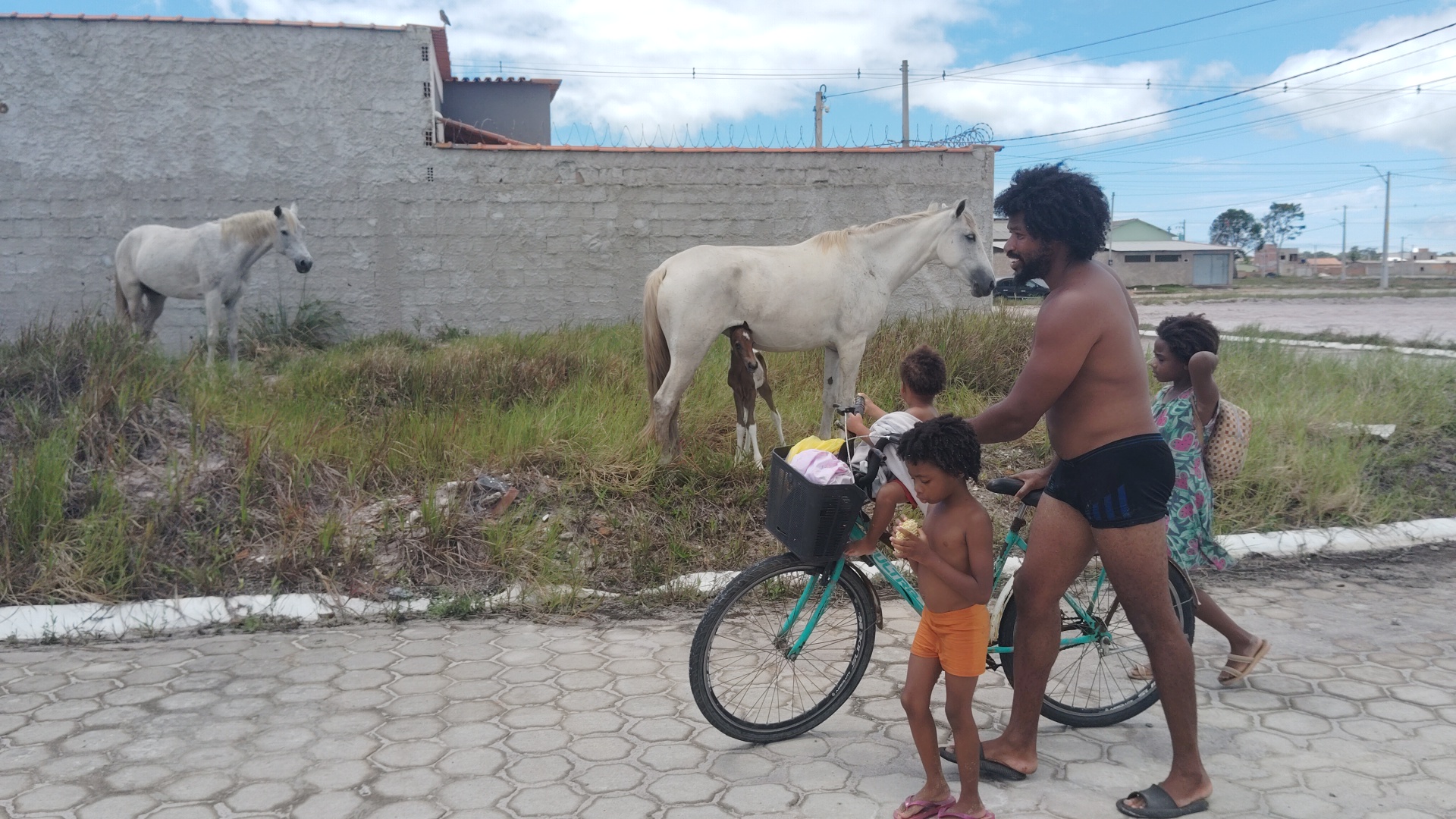 A man and three children walk on a paved road next to a grassy area with two white horses and a foal