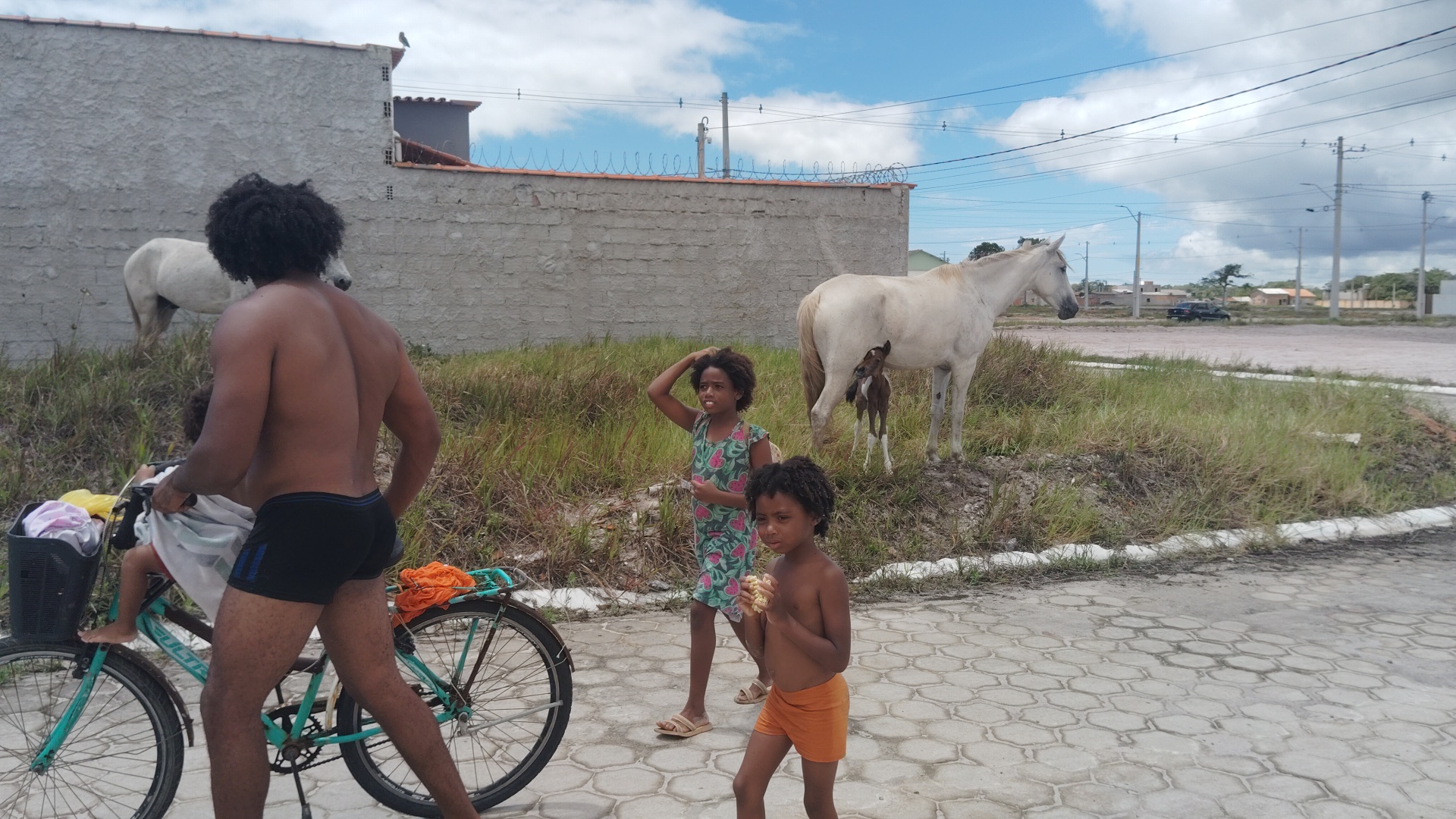 A man pushes a bicycle with a child on the back, while two other children and two horses stand on a grassy hill beside a paved road